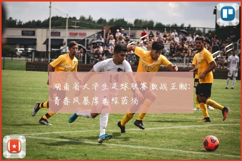 湖南省大学生足球联赛激战正酣:青春风暴席卷绿茵场
